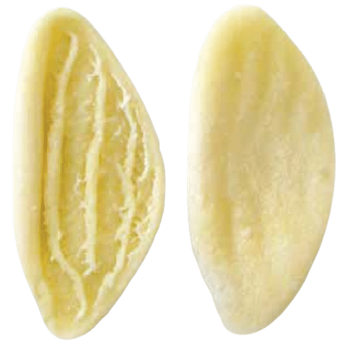 Strascinate pasta by VEDE, hand-stretched semolina pasta in a charcoal blend, frozen fresh for chefs and foodservice kitchens.