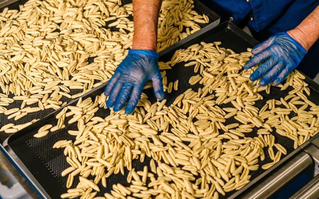 The QLD Business Leading Food Innovation — Why VEDE Pasta Is Just the Beginning