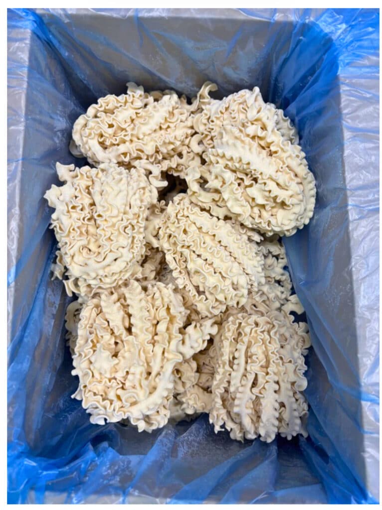 Box of semolina mafaldine pasta – VEDE wholesale fresh pasta