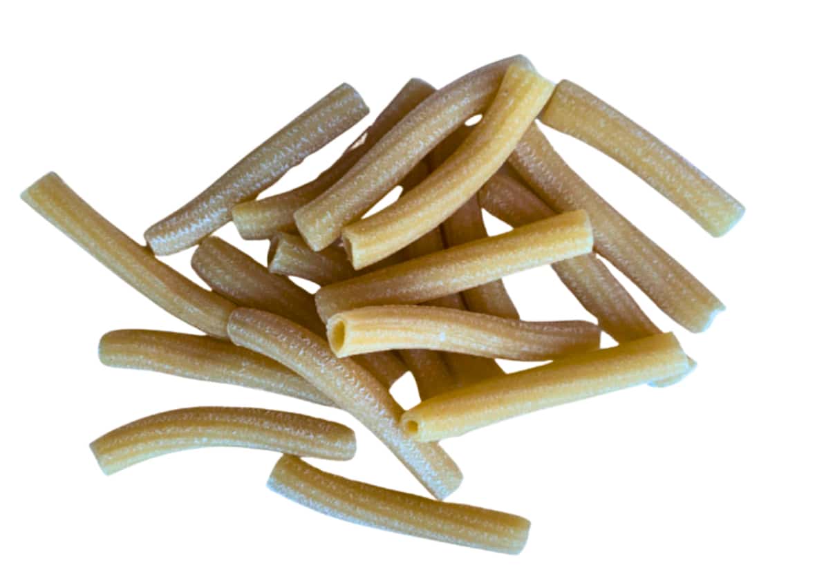 Rigatoni sourdough pasta